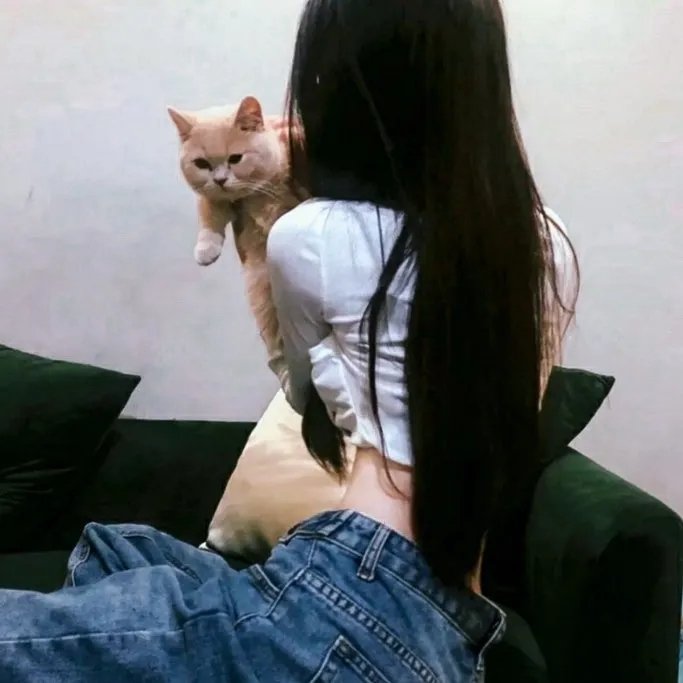 好家伙先生 在线观看